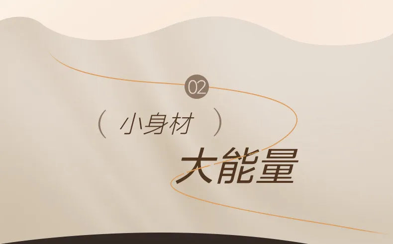 18DM Compact Handheld Steam Iron