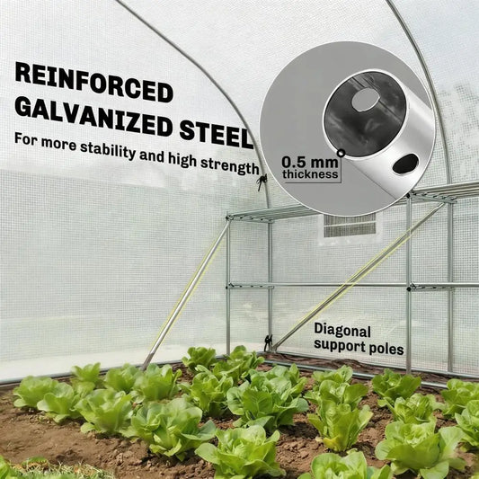 Garden Plant Hot House,Outdoor
