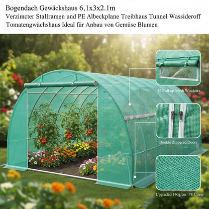 Walk-in Tunnel Greenhouse, 20 x 10 x 7 ft